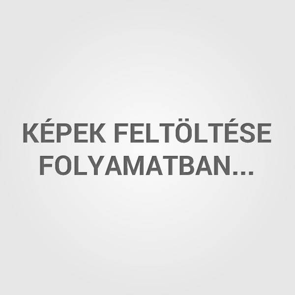 kep_feltoltes_folyamatban.jpg