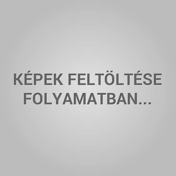 feltoltes_folyamatban.png